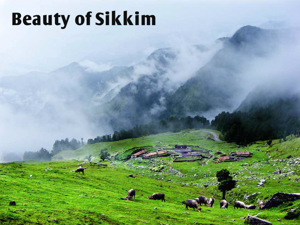 5 Reasons Why Every Newly Married Couple Should Opt For A Sikkim Tour Package